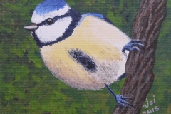 Blue Tit - SOLD