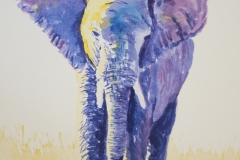 Elephant -SOLD