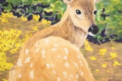 Fawn