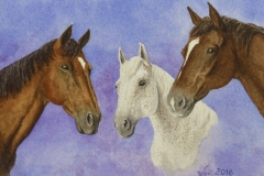 3 horses watercolor painting